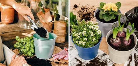 Koláž rôznych typov kvetináčov pre bylinky (terakota, plast, kov, prútený kôš)