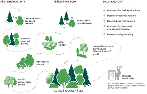 Infografika znázorňujúca Miyawakiho metódu výsadby lesa na malej ploche