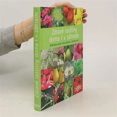 Zdravé paprikové rastliny v záhrade