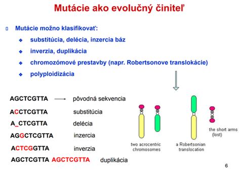 Schéma genetickej mutácie alebo klonovania jabloní