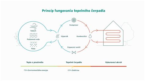 Infografika: princíp fungovania Fogponiky s koreňmi vo vzduchu a rozprašovanou hmlou