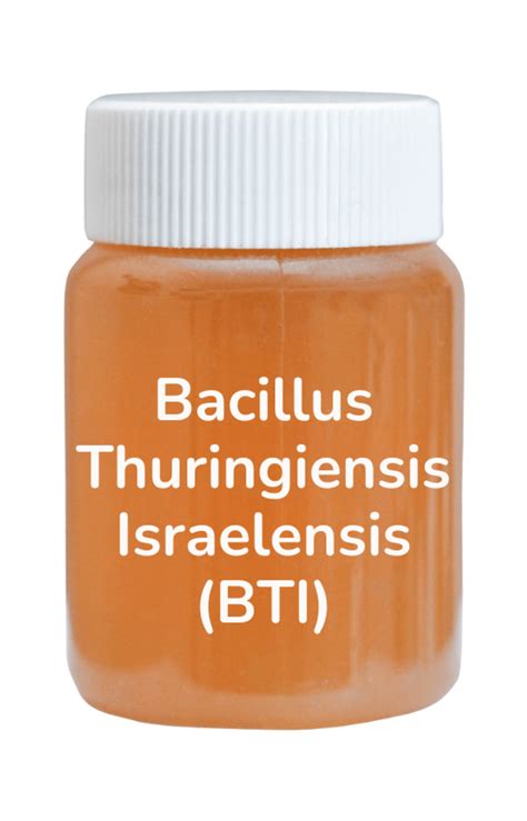 Ilustrácia pôsobenia baktérie Bacillus thuringiensis israelensis na larvy komárov