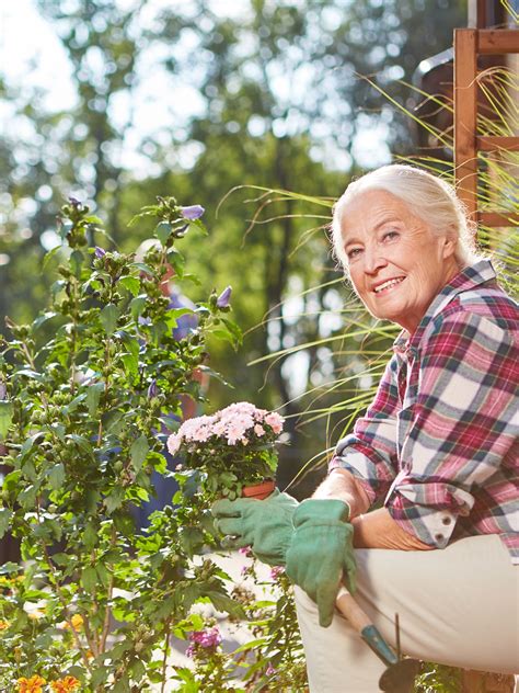 Výber rastlín odpudzujúcich komáre pre záhradu