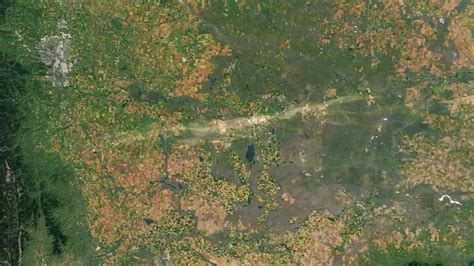 Satelitná snímka alebo schéma rozsahu veternej kalamity v oblasti Vysokých Tatier po roku 2004