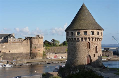 Tematické foto: Majestátny brest s rozsiahlou korunou