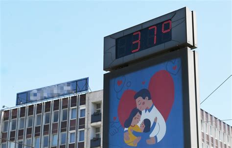 infografika znázorňujúca citlivosť jednotlivých častí viniča na mráz v stupňoch Celzia