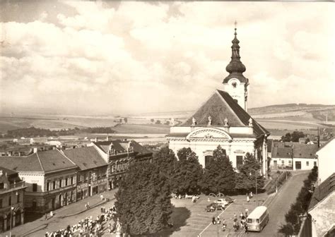 Historické foto: kolový vinohrad