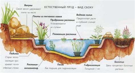Schéma správnej výsadby vresu v kvetináči s vyznačenou drenážnou vrstvou