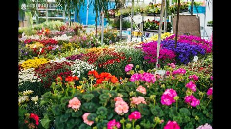 fotografia kvetinových záhonov a záhradných inšpirácií z výstavy Gardenia