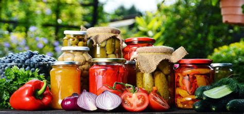 Schéma procesu extrakcie semien z plodu: rozkrojenie, fermentácia v pohári s vodou, opláchnutie na sitku a sušenie na papieri