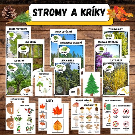 Koláž fotografií rôznych rastlín dostupných v záhradnom centre: kvety, kríky, stromy, sukulenty