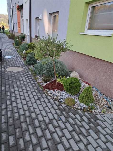 Nákres predzáhradky s rozdelením zón a svetelných podmienok