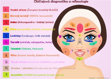 mapa tváre s vyznačenými oblasťami a možnými príčinami akné