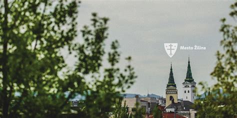 Tematické foto: mestská zeleň, stromy v mestskom prostredí