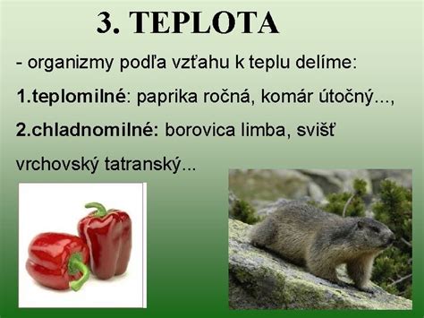 Infografika: Prehľad skalničiek rozdelených podľa nárokov na svetlo (slnko, polotieň, tieň)