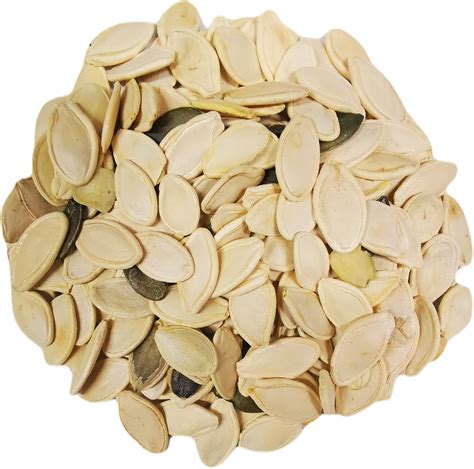 Čerstvo vybrané tekvicové semienka na sušenie