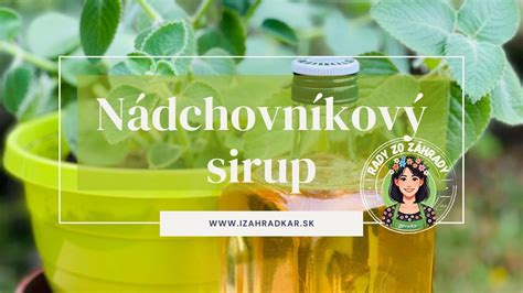 Infografika zobrazujúca prípravu skorocelového sirupu a čaju