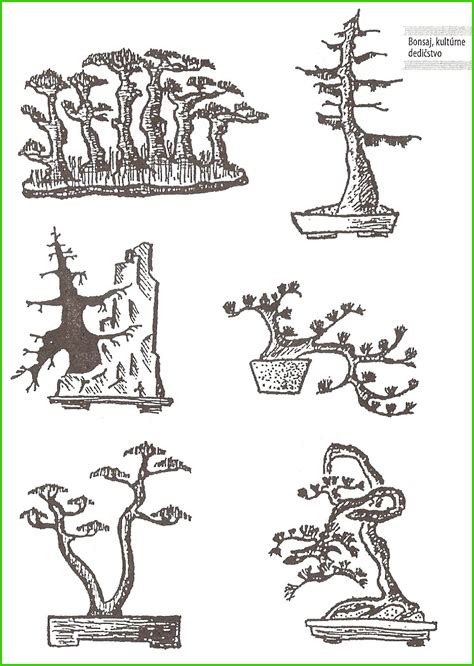 Ilustračná fotografia rôznych nástrojov na pestovanie bonsajov