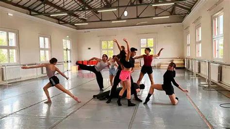 Ilustrácia karavány lamov viazaných lanom.