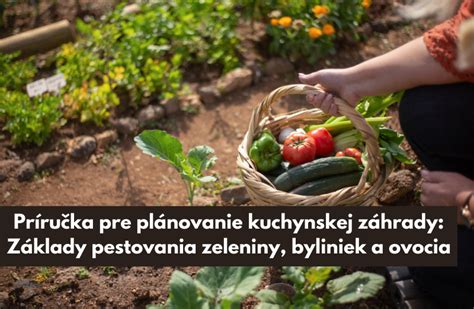 historická ilustrácia pestovania zeleniny alebo záhrady
