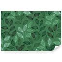 Ilustrácia rastliny napadnutej škodcom