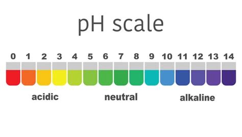 Infografika: pH škála a potreby rôznych rastlín