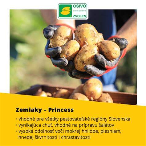 Detail plodov nektárinky s hladkou šupkou a dužinou