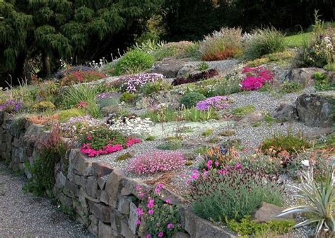 Detail záhradnej skalky ukazujúci starostlivo upravené rastliny a kamene