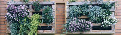 Infografika: Rozdelenie balkóna podľa orientácie a vhodné rastliny