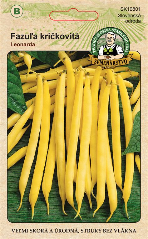 Detailné zábery na plody tekvice a struky fazule