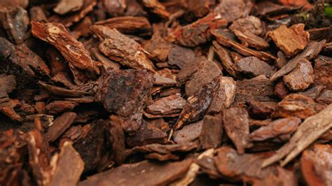 Detailný záber na štruktúru kamennej kôry s prúžkovanou kresbou v okrasnom záhone