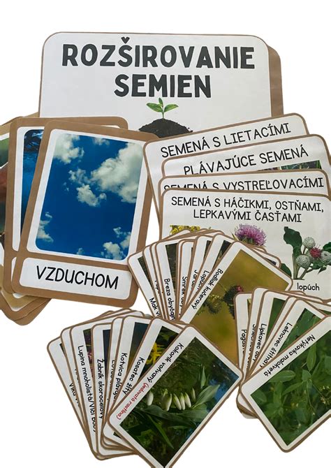 Tematická fotografia rastlín a semien
