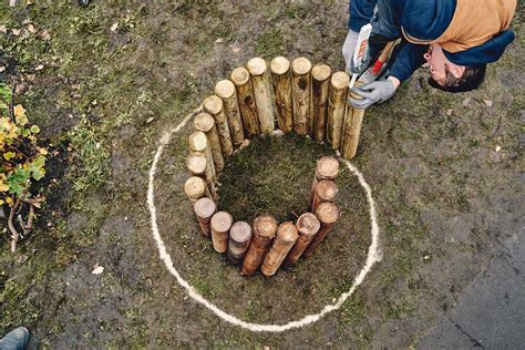 Detailný záber na proces očkovania dreveného klátu hlivou pomocou drevených kolíkov a vosku.