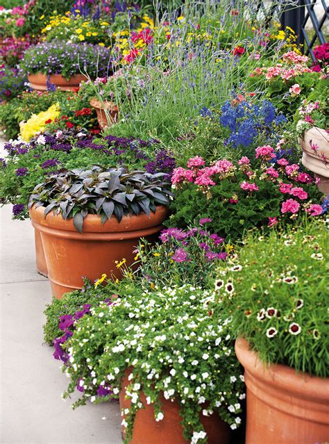 Ilustračná fotografia rôznych pestrofarebných letničiek v záhonoch a kvetináčoch.