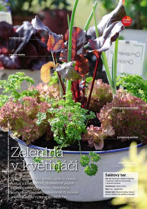 Názorné zobrazenie správneho hnojenia letničiek.