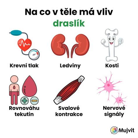 Infografika: Kľúčové živiny v banánovej šupke (draslík, fosfor, horčík) a ich funkcie pre rastliny