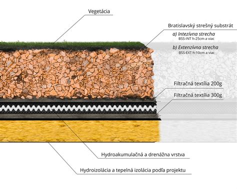 Detailný pohľad na vrstvy v kvetináči: drenážna vrstva na dne, minerálny substrát a koreňový systém rastliny