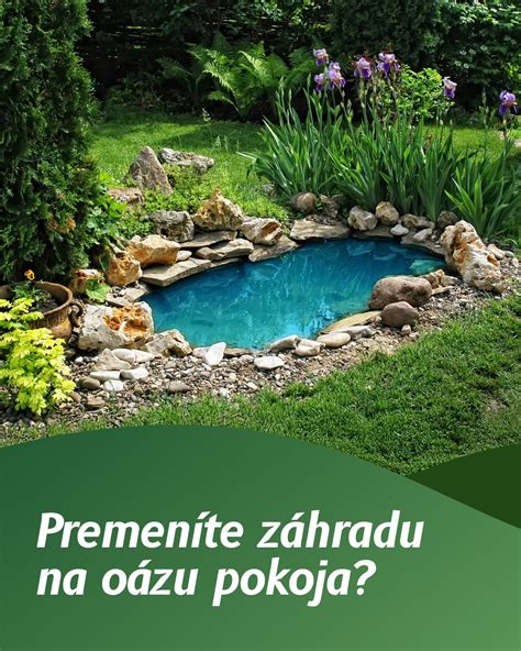 Infografika znázorňujúca hĺbkové zóny jazierka a potrebu hnojenia jednotlivých druhov rastlín
