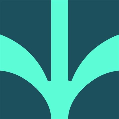 Schéma ideálneho stanoviska pre klinčeky: slnečné miesto s priepustnou pôdou