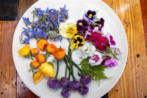 jedlé kvety sirôtky na tanieri