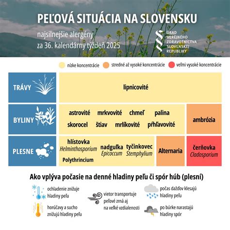 Infografika znázorňujúca mechanizmus účinku síry na spóry húb