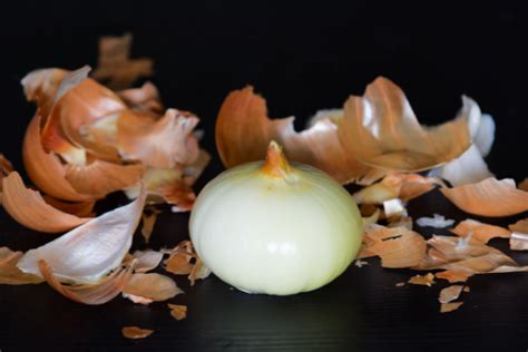 detailná makro fotografia štruktúry cibuľovej šupky