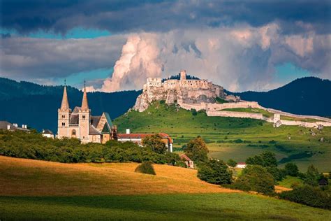 Schéma odberu odrezkov: znázornenie správnej dĺžky rezu (8-15 cm) a miesta odberu z materskej rastliny (vedľajšie výhonky z hlavnej stonky).