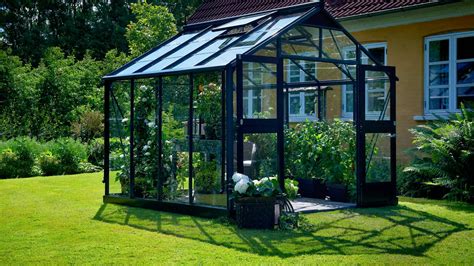 Fotografia skleníka s rastlinami chilli