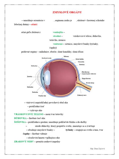 Obrázok záhradníka s ochrannými pomôckami (sluch, zrak)