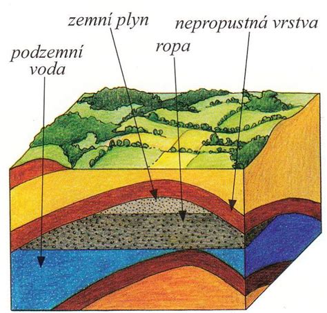 Schéma vzniku rašeliny a jej zloženie