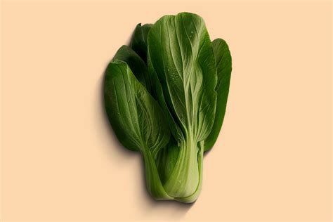 ilustrácia výsevu semien pak choi do záhonu