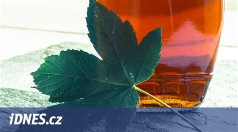 Ilustrácia zberu javorovej šťavy a výroby javorového sirupu