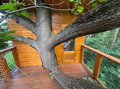 Ilustračné foto domčeka na strome s nedokončenou strechou
