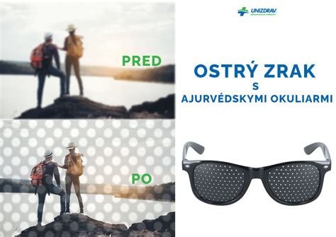 Infografika správnej zálievky a teplotného režimu pre cykas počas roka